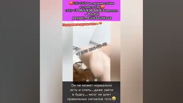 Помогите Акселю жить😓