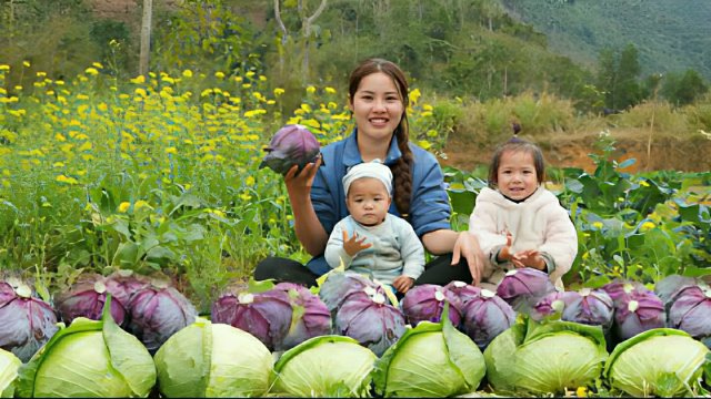 Собираю урожай краснокочанной капусты для продажи на рынке. Готовлю ужин вместе со своими детьми