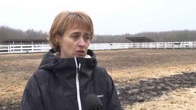 Езда на лошади – эффективное средство в борьбе с различными недугами