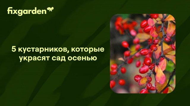 ✅ Ваш сад может быть ТАКИМ: Яркий, нарядный, восхищающий соседей!