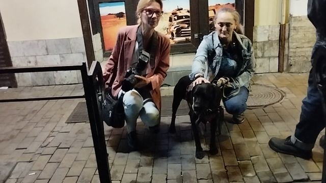 Жил Был Пёс @ Money Honey @ Моя Жизнь Кино @ Музей Псов