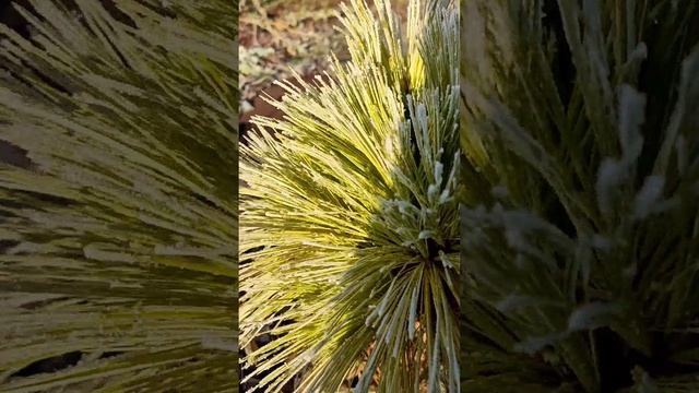 У природы нет плохой погоды