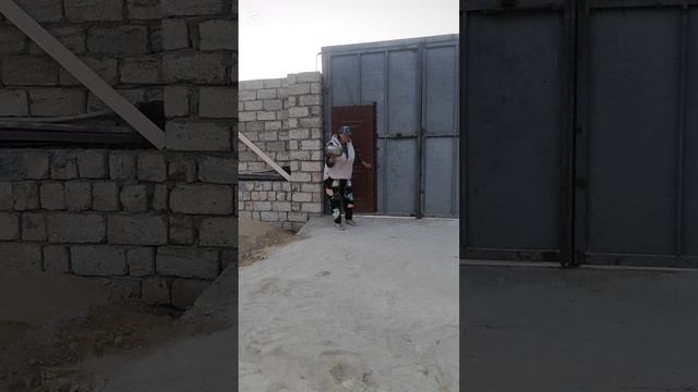 На передержке довели питбуля до истощения, буду откармливать