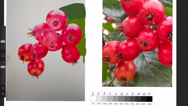 Наталья Алексеева 2.23