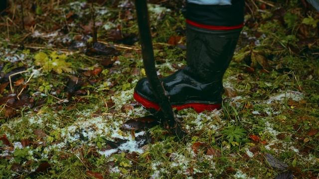 Просто хороший день