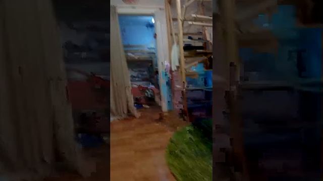 вечер каждый день 4