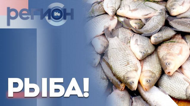 Регион LIFE | РЫБА! | ОТС LIVE — прямая трансляция