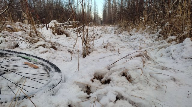 Зимняя прогулка на велосипеде по лесам и болотам. 60 км.