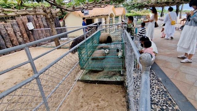 Обзор территории отеля *Горизонт 5*",контактный зоопарк,чуть приболела,сегодня лучше,все будет👍