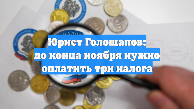 Юрист Голощапов: до конца ноября нужно оплатить три налога