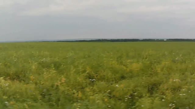 Архив. Велопоездка с детьми. Июль 2025 г.