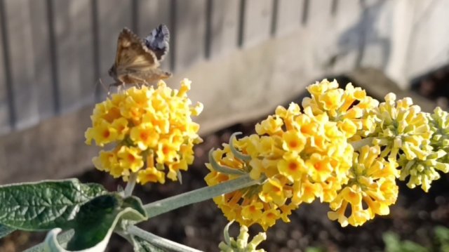 22-11-2025 Тёплый, субботний день.