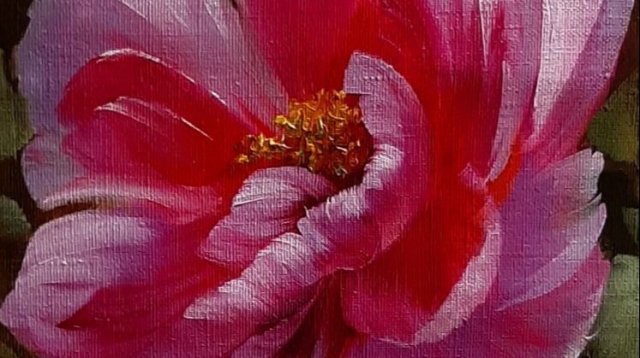 Пион .Живопись маслом