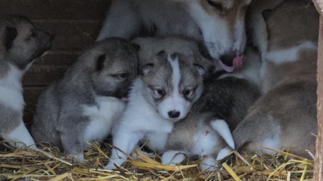 Кто есть кто