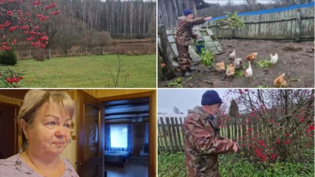 ЛЁШИК ХОДИЛ В МАГАЗИН, СОБРАЛИ КАЛИНУ, НАДЕРГАЛА КУРОЧКАМ ТРАВКИ.