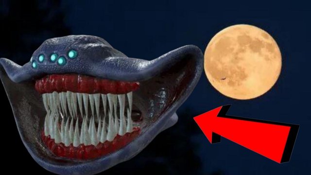 Как лунные циклы влияют на поведение Эль Гран Майя?