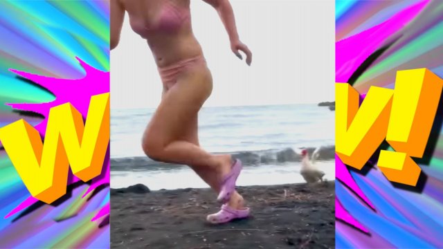 СМЕХ БЕЗ ГРАНИЦ: ПОДБОРКА СМЕШНЫХ ВИДЕО И ПРИКОЛОВ