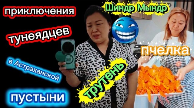 Шиндр Мындр в гости к сестре за новым контентом Лезет во все углы Трутень и Пчёлка