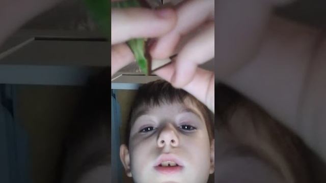 Моя 2 трансляция