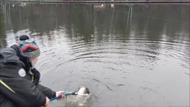 Бомбарда, закидушка, спиннинг...Клёвое место, Лосиный остров, нижний водоём.