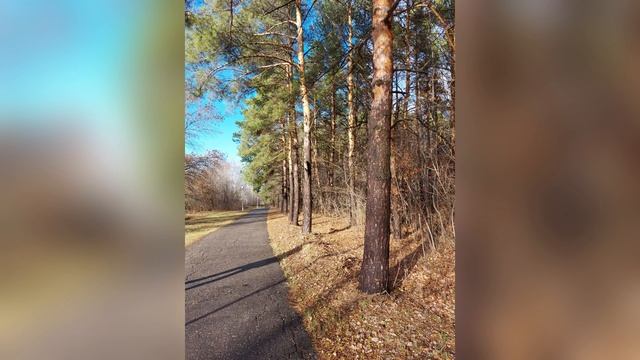 Осень / Подборка фото