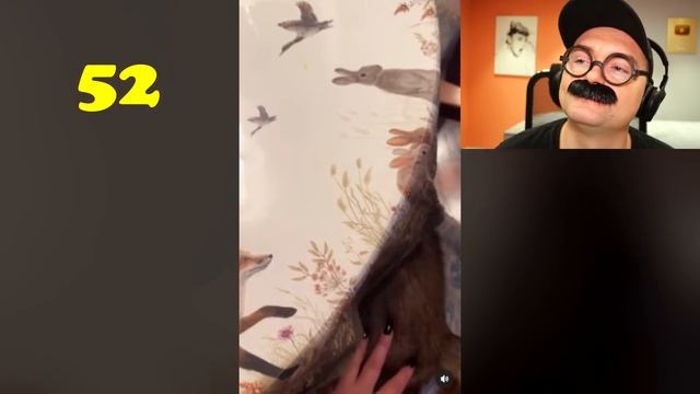 100 САМЫХ СМЕШНЫХ ВИДЕО (7 Выпуск)