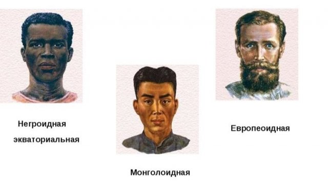 Очищение монголоидной расы. 13.11.25.