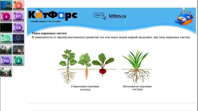 6А Биология 21 ноября