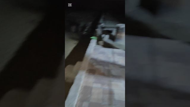 Так выглядят вольеры ночью