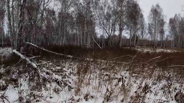 охоты на зайца