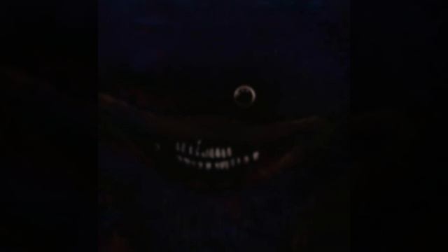 шин Соник (1)