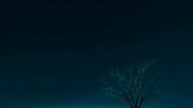 Зимняя ночь