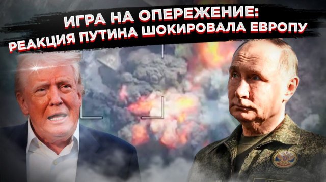 Зоопарк западной дипломатии: как «мирные» планы Трампа довели Европу до истерики