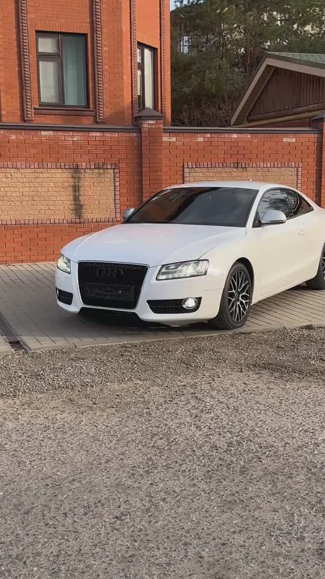 Лютейшая понторезка по низу рынка