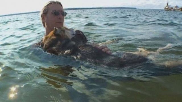 История о верности и любви к животным #добраяистория