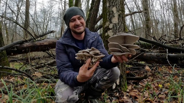 ТАКОЙ ОГРОМНОЙ ВЕШЕНКИ Я ЕЩЕ НЕ ВИДЕЛ!!!Сбор грибов в ноябре