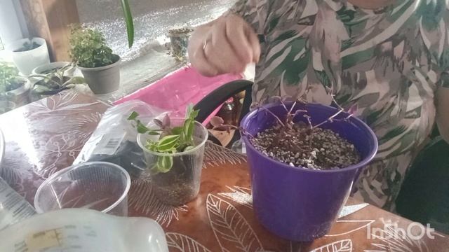 22-11-2025. Жизнь в деревне.Приготовила ужин.Приехали гости.