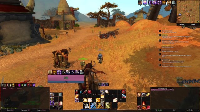 World of Warcraft. Private server