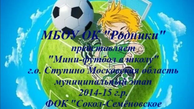 Мини-футбол в школу