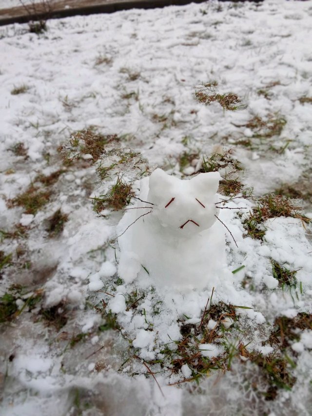 типо пикмуха