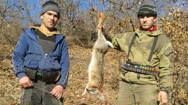 Охота на зайца