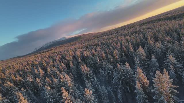 В ноябре. Река.Красивый свет.