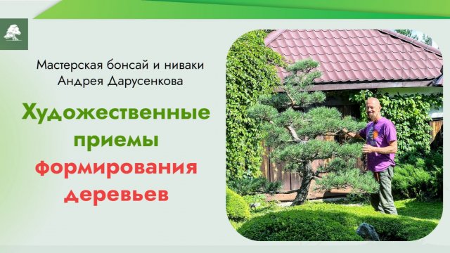 Художественные приемы формирования деревьев
