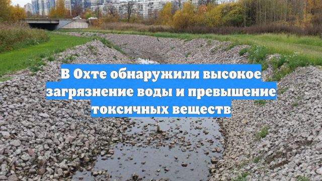 В Охте обнаружили высокое загрязнение воды и превышение токсичных веществ