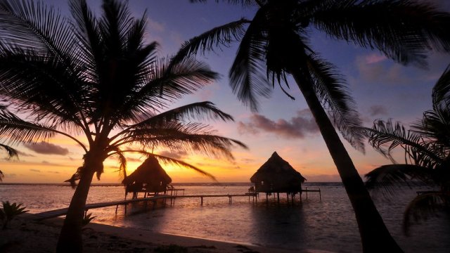 Девушка из Камеруна