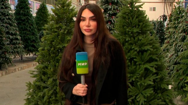 Елочные ярмарки открылись в Азербайджане. Какие ели предпочитают покупатели?