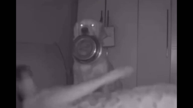 Приколы для взрослых Лучшие приколы 2025 #приколы #смех #юмор