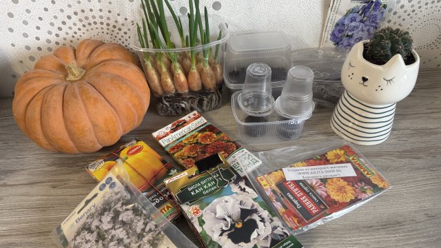 Обзор семян. Посылка от Аэлиты на 2026г