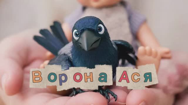 Ворона Ася считает 🌸