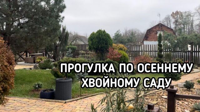Прогулка по осеннему хвойному саду